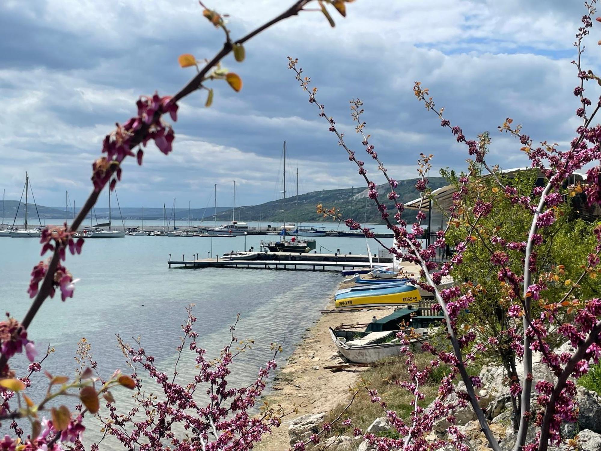 Lotos Hotel Balchik Esterno foto